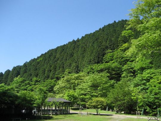 キャンプ場事業